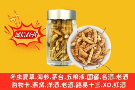 海东市循化回收散虫草