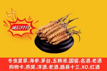 海东市循化求购回收虫草多少钱每克